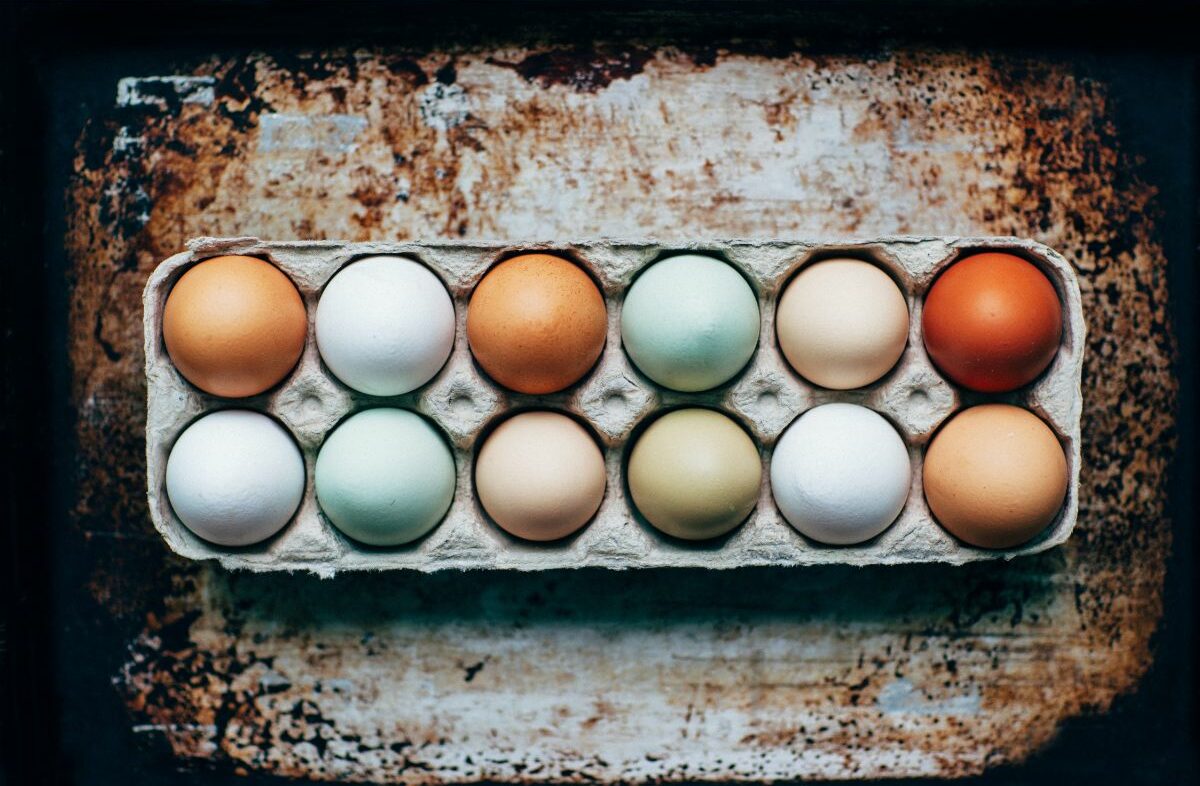 Welche Hühner legen grüne Eier? – Vollständiger Guide zu allen Hühnerrassen!