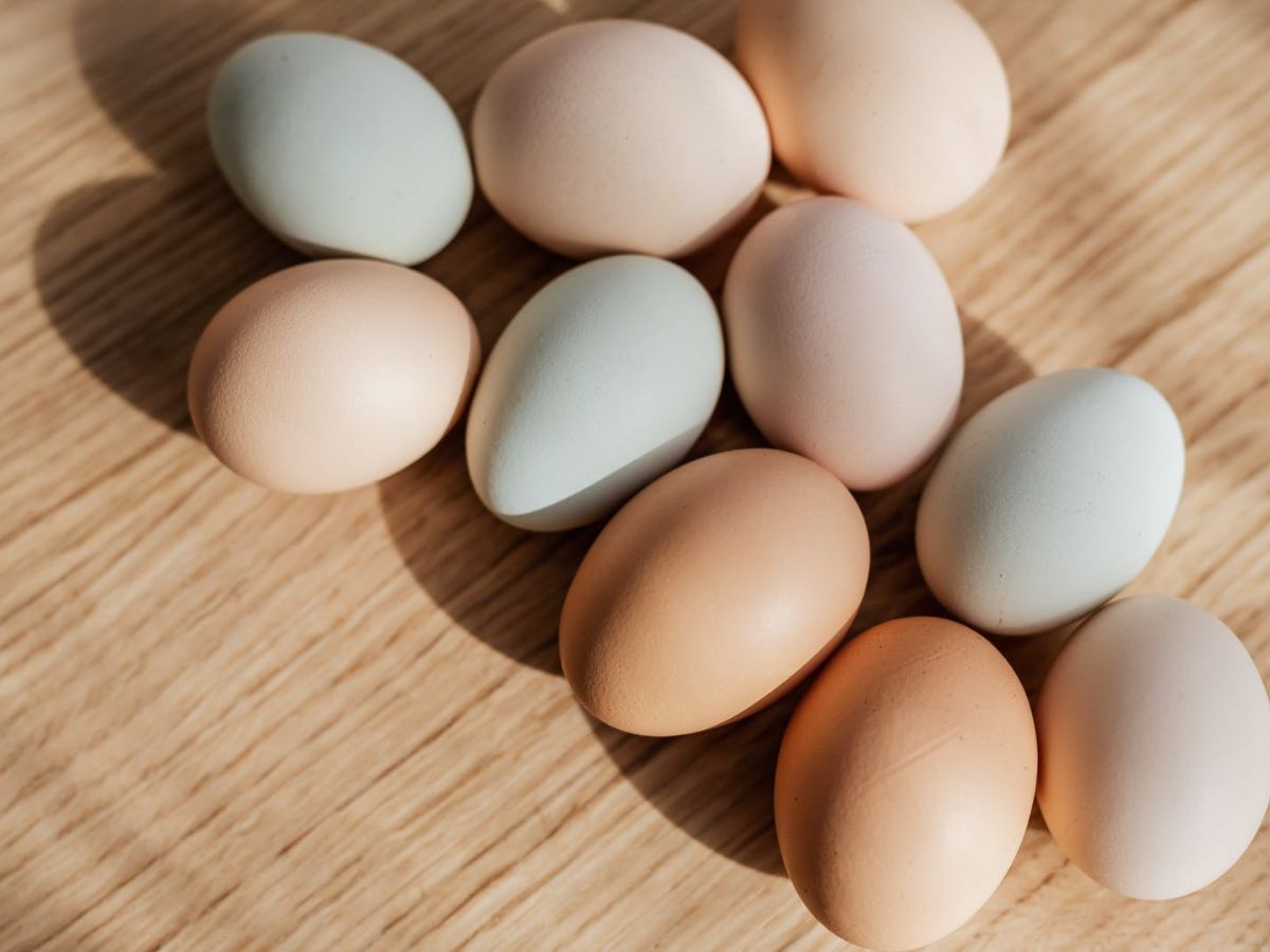 Welche Hühnerrassen legen rosa Eier? – 5 Optionen